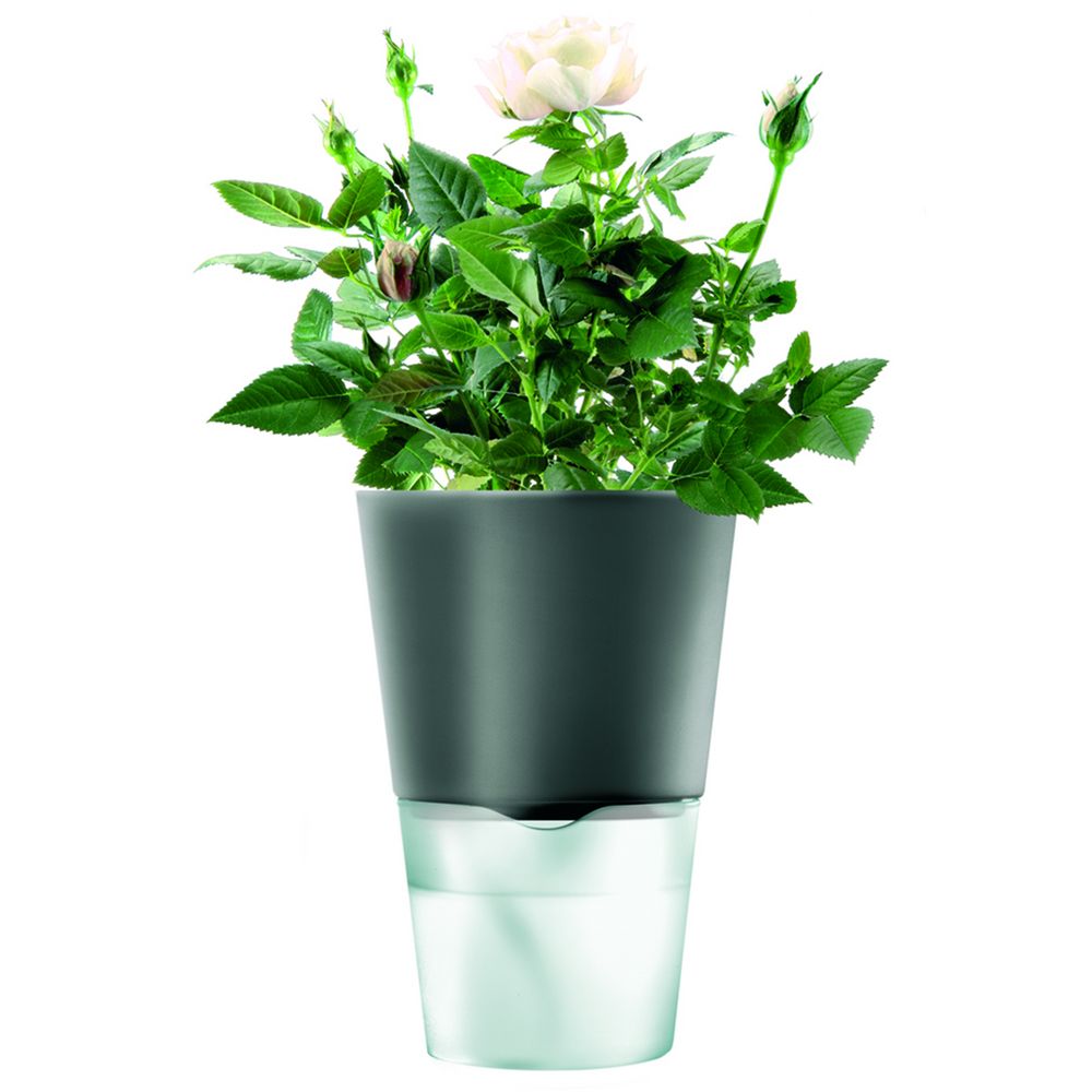картинка Горшок для растений Flowerpot, фарфоровый, серый от магазина "Paul's collection"