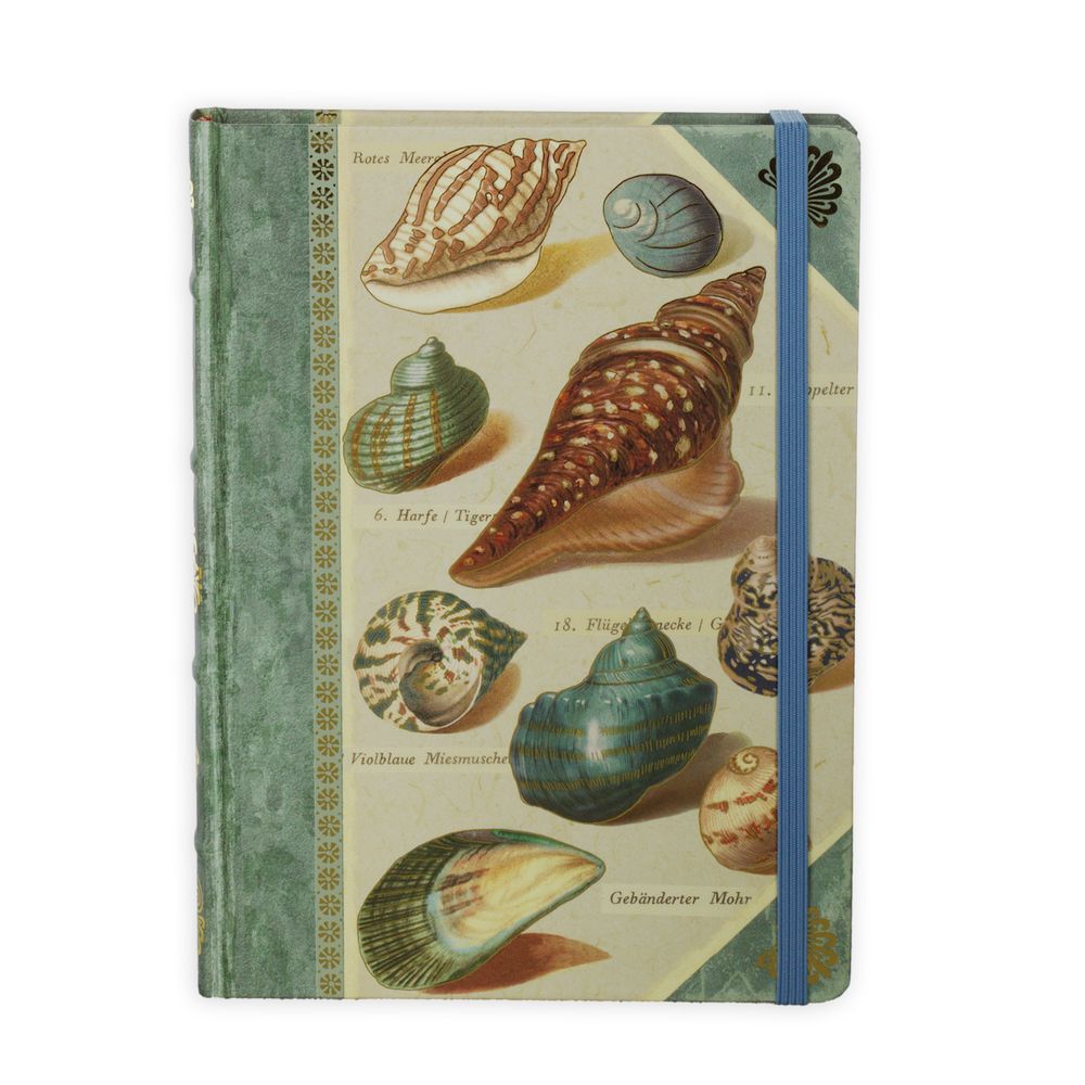 картинка Книга для записей Shells от магазина "Paul's collection"
